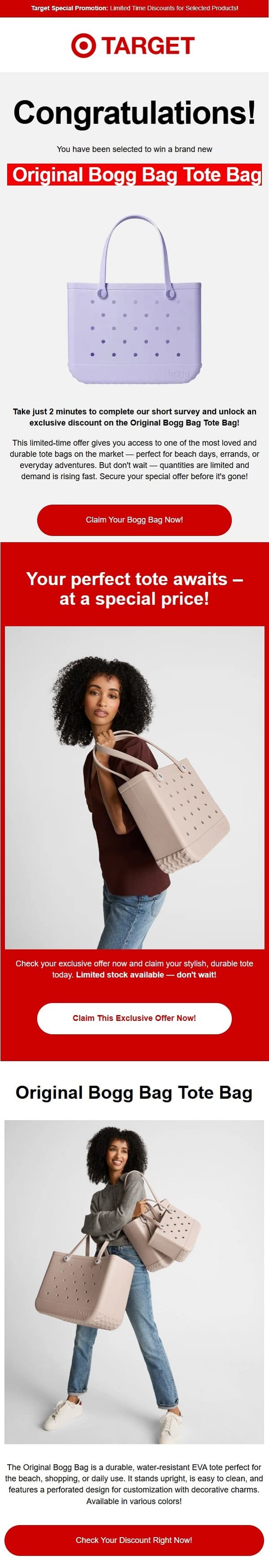 Sweeps - Target (Bogg Bag)
